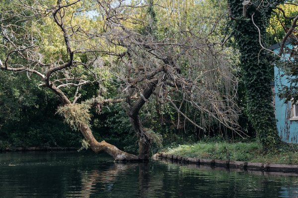 Découvrez les bénéfices des thérapies par ondes de choc pour soigner les tendinopathies