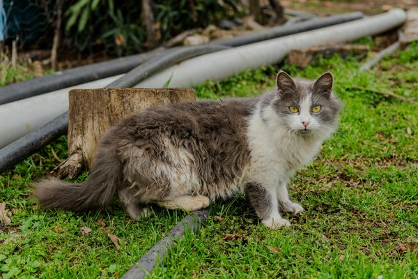 Découvrez les meilleures offres de bien-être en pharmacie en ligne